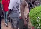 Bloodbath In Benue As Armed Herdsmen Raid Communities, Kill 18, Injure Scores   ....As Angry Youths Litter Och’Idoma Palace With Corpses, Shut All Routes To Otukpo Town  ....Gov Alia fumes, orders security agents to hunt down perpetrators