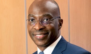 WNTD 2026 WHO Awards: CAPPA Hails Films Censors Board, Nigerian Profs