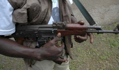 Armed Herdsmen Kill Three Persons, Injure Two Others in Separate Attacks On Benue Communities