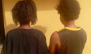 Benue Police arrest one over self-kidnap arrangement